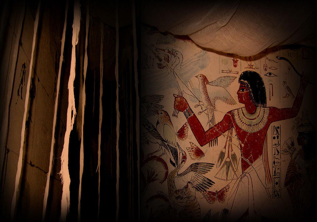 1 Фото квест комнаты Tomb Raider Лара Крофт в городе Запорожье