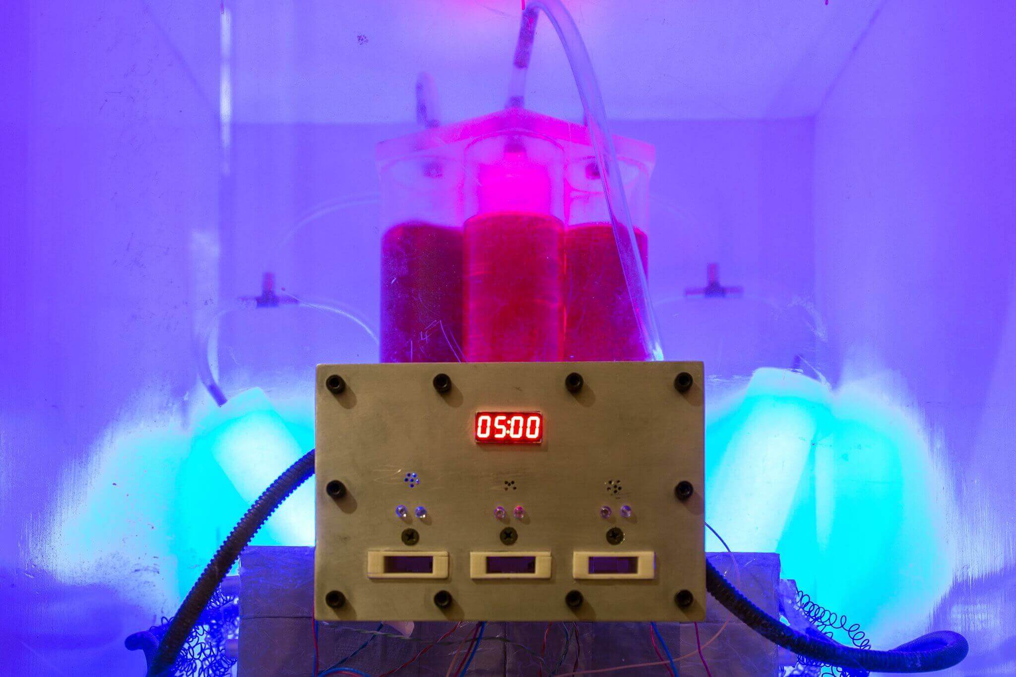 1 Фото квест комнаты Легенди Львова: Агент 032 в городе Львов