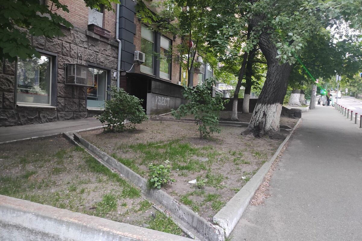 1 Фото локації Ігри розуму в місті Київ