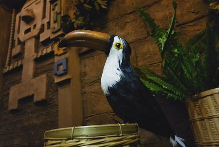 Фото квест комнаты Индиана Джонс и Гробница Майя в городе Львов