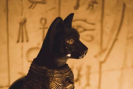 Фото квест комнаты Мумия в городе Львов