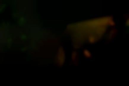 Картинка квест кімнати Екстремальне Шоу в місті Київ