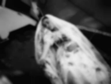 Фото квест комнаты Кровавый Алмаз в городе Киев