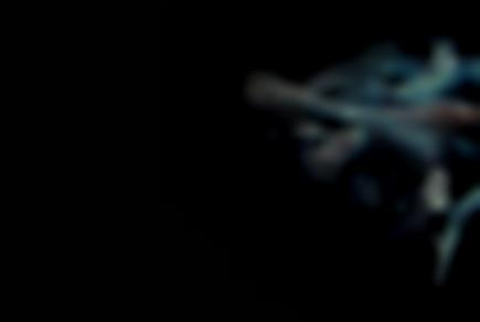 Фото квест комнаты Зловещие мертвецы в городе Одесса