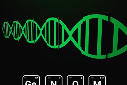 Фото квест комнаты Genom в городе Одесса