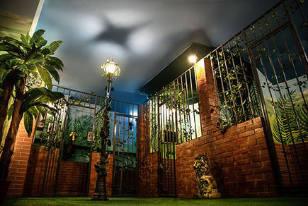 Фото квест комнаты Мадагаскар в городе Киев