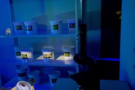 Фото квест комнаты Миньоны: Испытание на гадость в городе Одесса