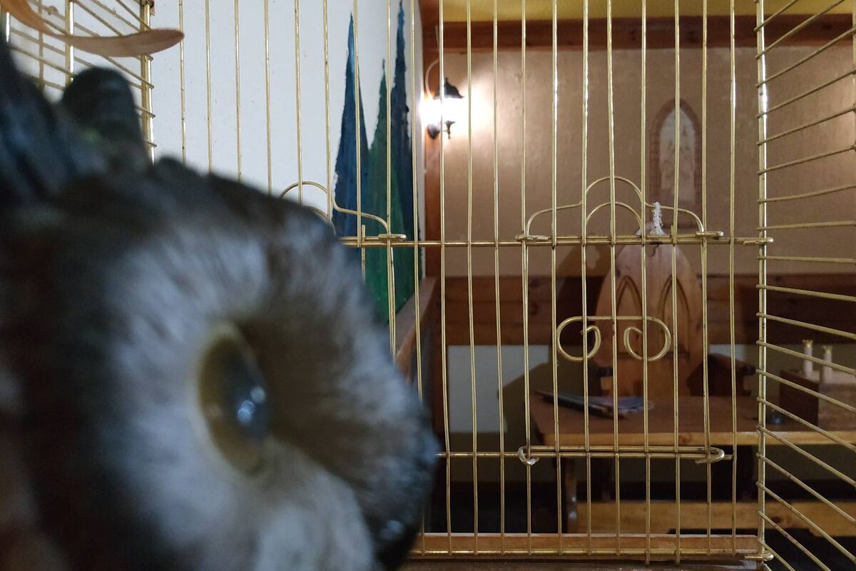 1 Фото квест кімнати Тамплієри, містична легенда  в місті Київ